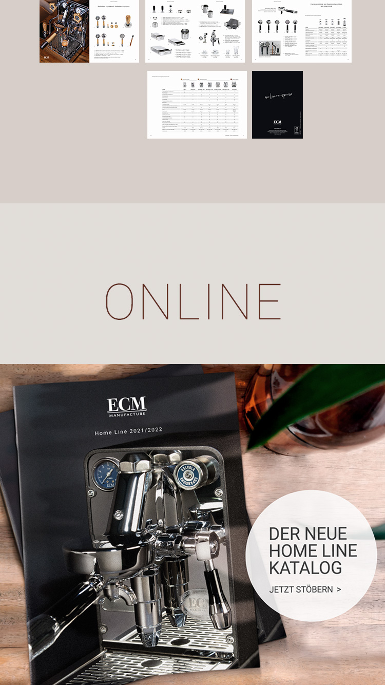 Gestaltung des Online-Katalog 2021 und 2022 für Espresso Coffee Machines Manufacture GmbH, Kreation bei P12-Fresh