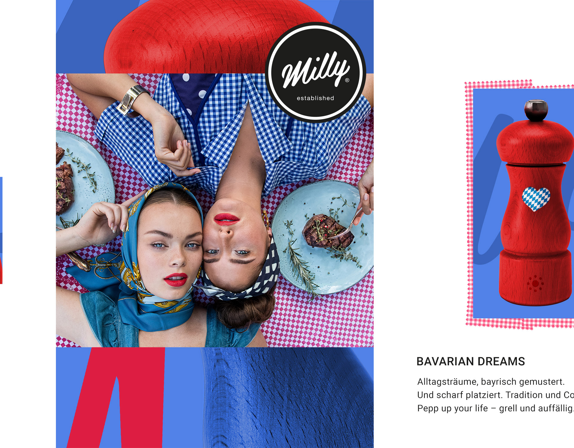 Fotokonzept und Werbekampagne für Milly, kreiert bei P12-Fresh-Werbeagentur
